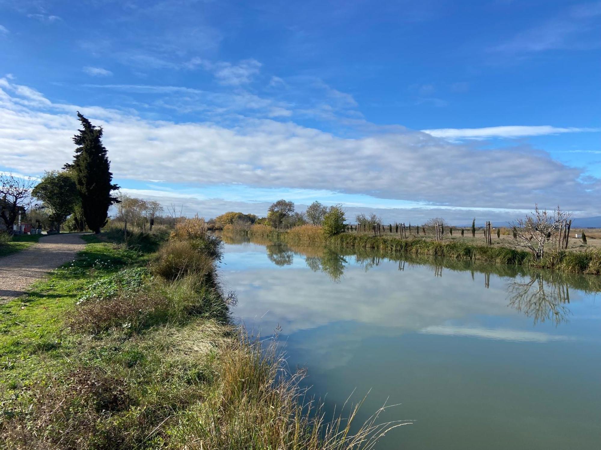 Maison, Canal Du Midi Piscine Homps  Exteriér fotografie